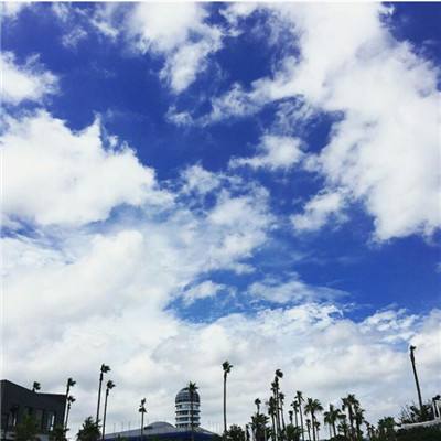 金沙集团186cc成色